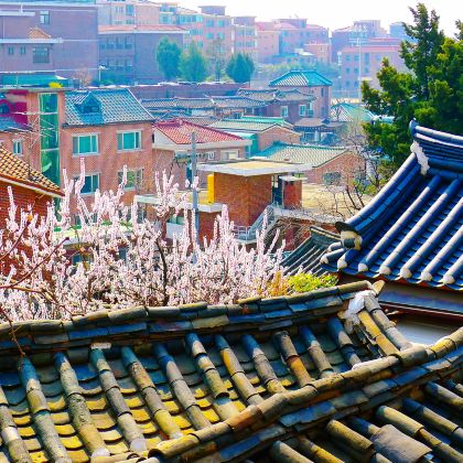 韩国首尔5日4晚跟团游