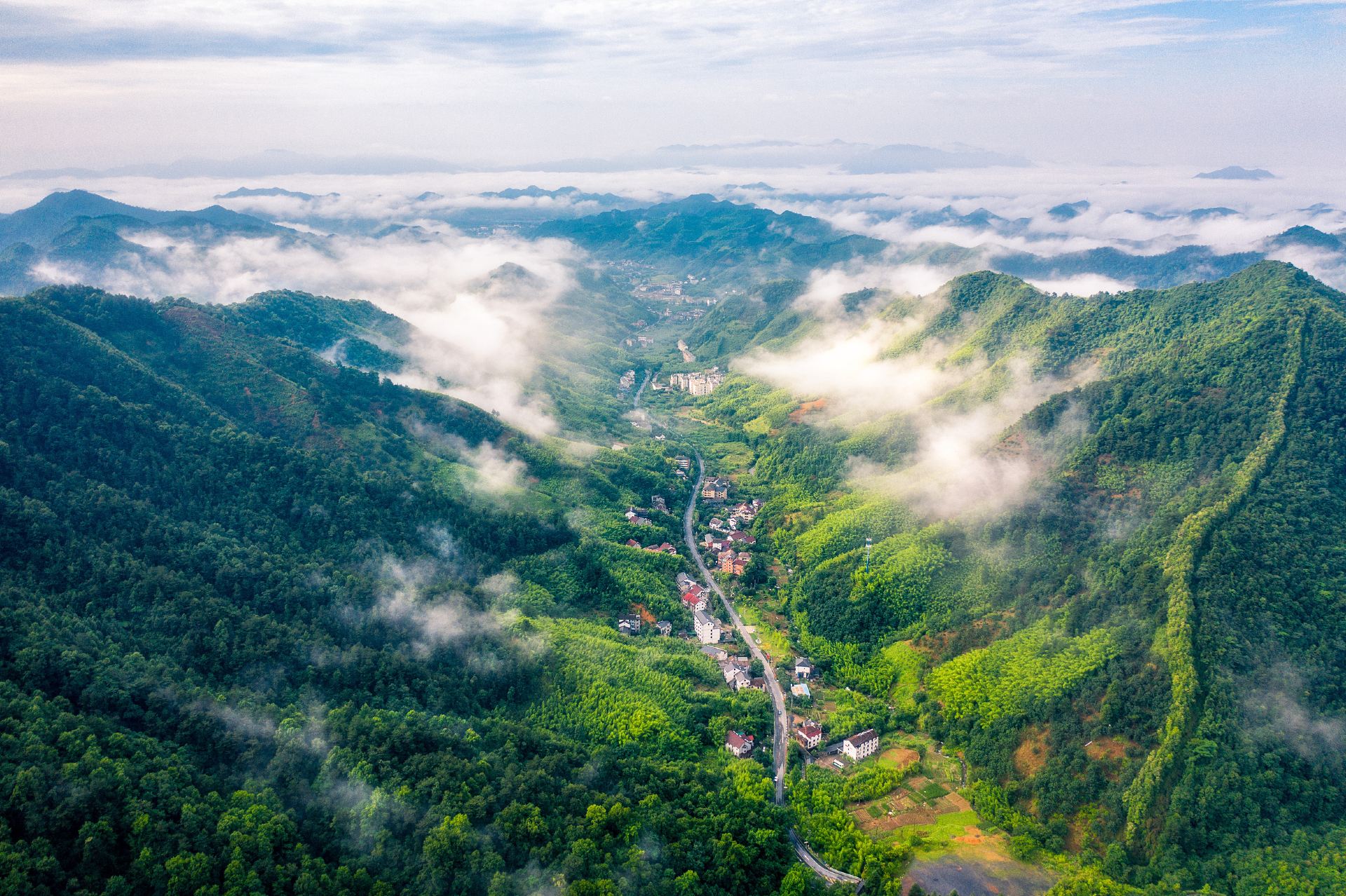 天目山自然保护区