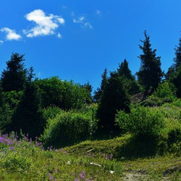 哈萨克斯坦阿拉木图+阿斯塔纳6日5晚拼小团