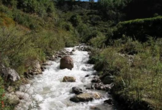 鸡鸣寺景点图片