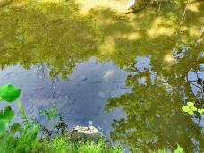 龙潭沟景区-西峡-牛浪汉游记