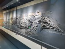 安徽省地质博物馆-合肥-一枕听香