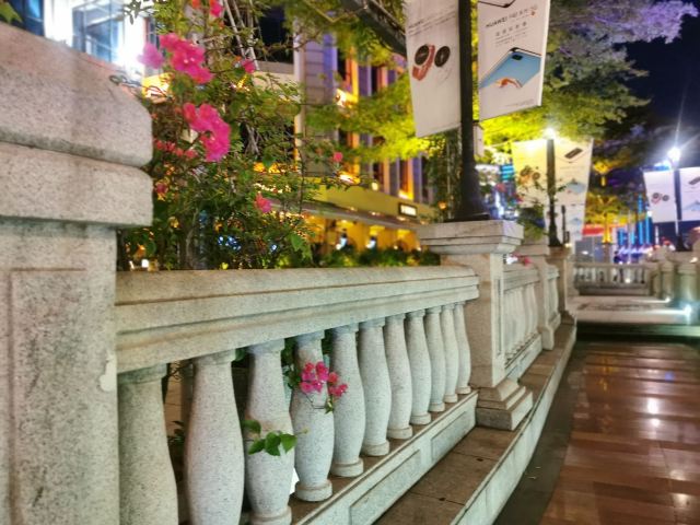 岐江公园旅行图片 7