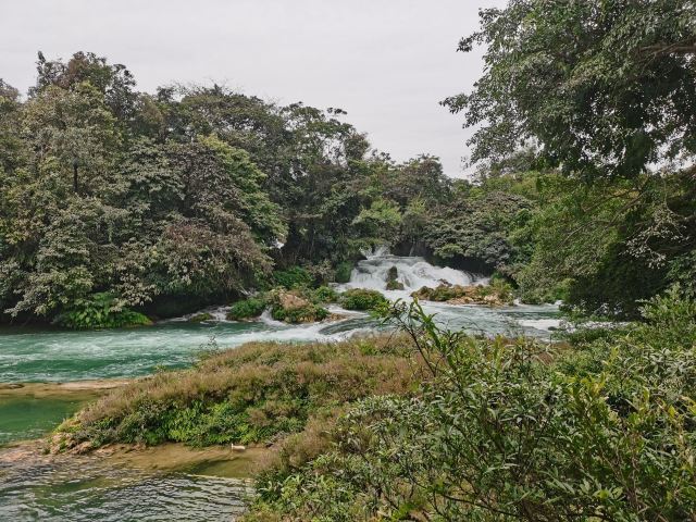 老木棉·紫园景区旅行图片 3