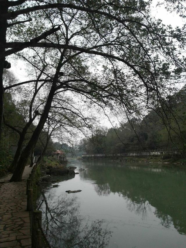 潜山国家森林公园旅行图片 3