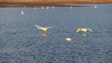Swan Lake Ecotourism Area