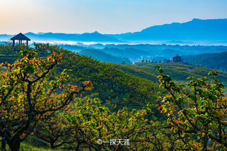 “桃梨”去建宁，莫负好春光｜三明建宁美食旅游攻略