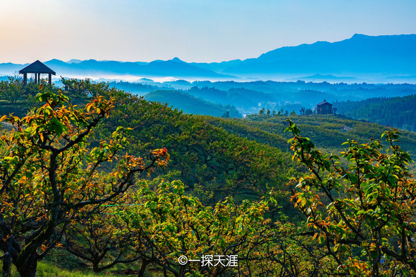 “桃梨”去建宁,莫负好春光|三明建宁美食旅游攻略