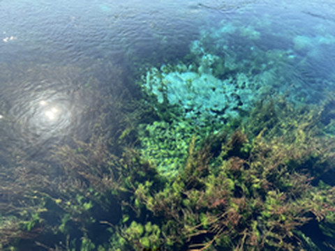 南岛游记图片] 新西兰南岛黄金湾-塔卡卡三天两夜随心游