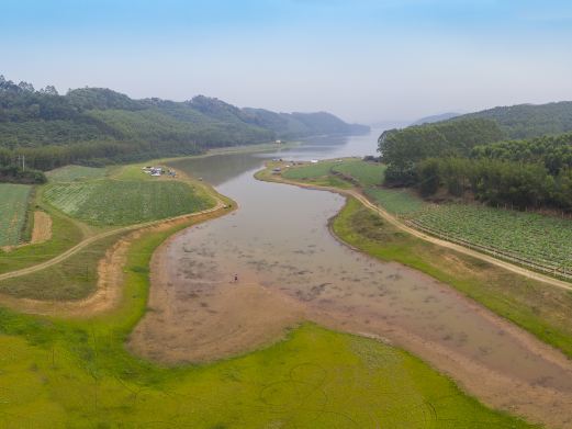 凤凰湖