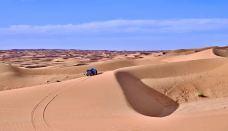 塔里木沙漠公路-且末-努力的三号