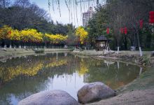 芙蓉山国家矿山公园景点图片