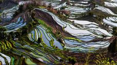 老虎嘴梯田-元阳-老老倪