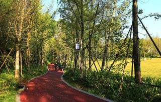 探访船山“桃花源”丨圆一个倚山听风的人间清梦