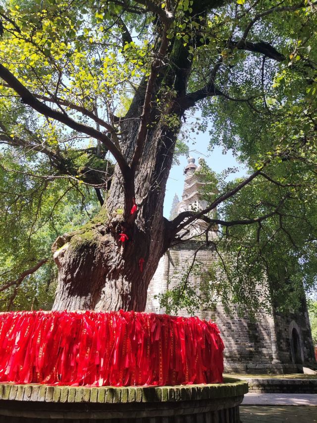 勑赐广德寺旅行图片 6