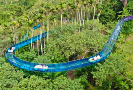 【槟榔谷汽车纯玩一日游（大团）】三亚往返【2人起订！】【纯玩无购物】