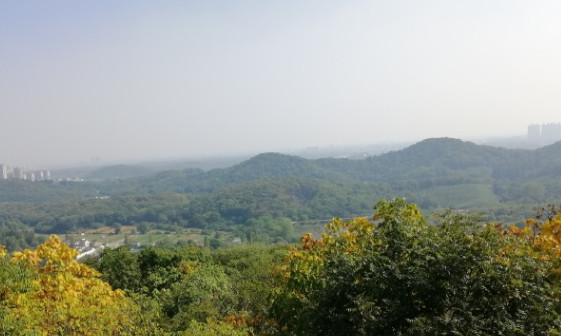 南山,镇江的城市山林(4)