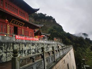 义乌华溪森林公园，近景未必无风情