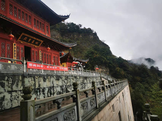 义乌华溪森林公园，近景未必无风情