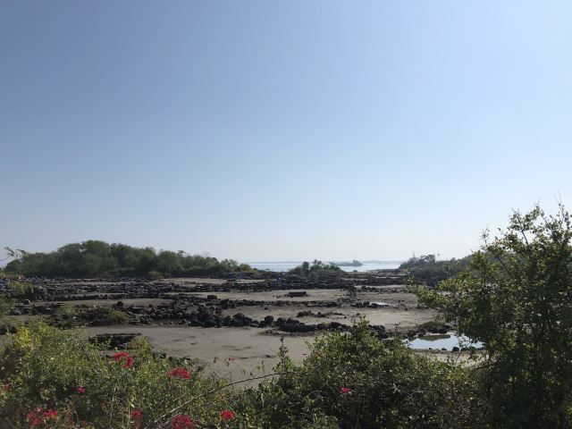 千年古盐田旅行图片 3