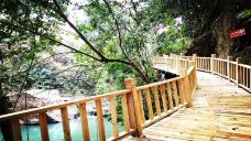 派阳山森林公园-宁明-C-IMAGE