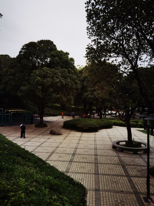 中山公园旅行图片 4