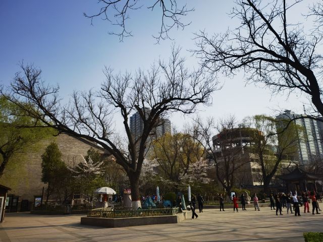 文瀛公园旅行图片 2