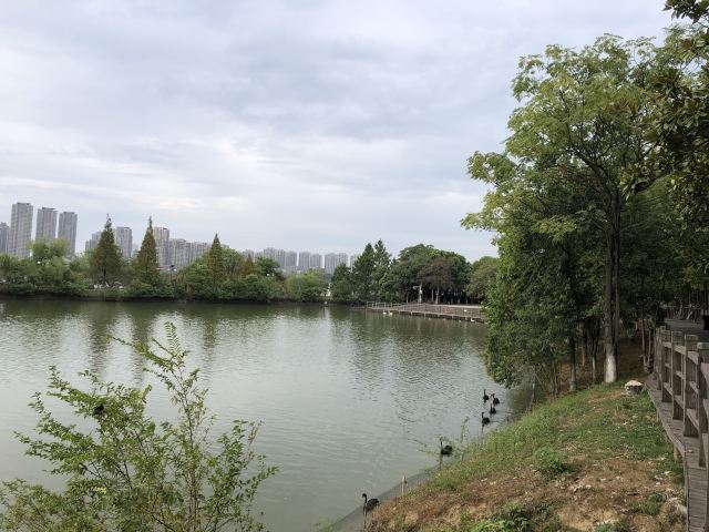 艾溪湖森林湿地公园旅行图片 1