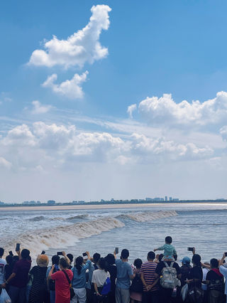 海宁酒店天花板~我选他家的理由是？