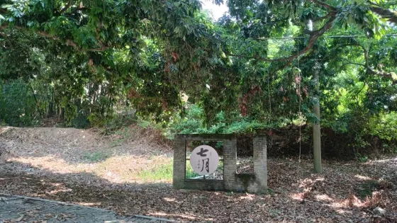 荔枝公園