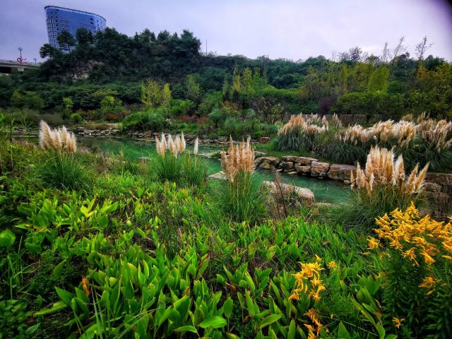 贵阳市森林公园旅行图片 2