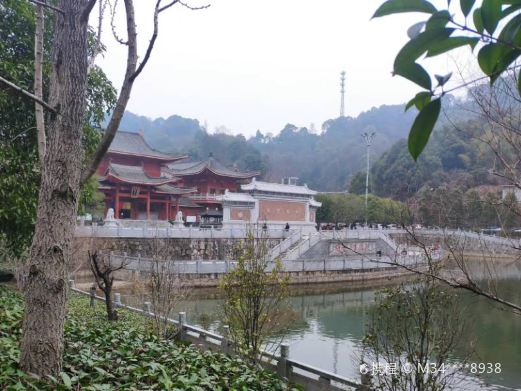 谷山森林公园
