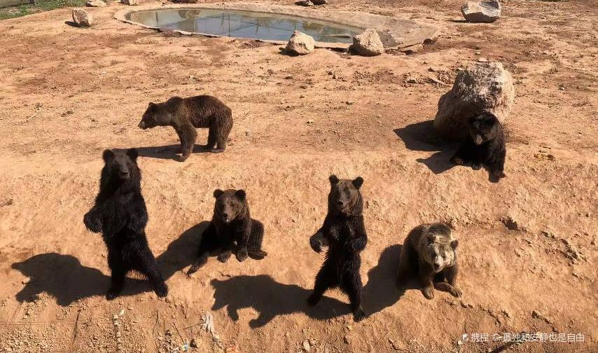 万安山野生动物欢乐世界