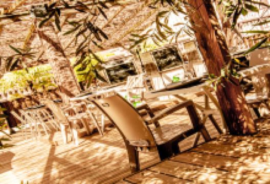 Les Saveurs du Liban et de l'Orient美食图片