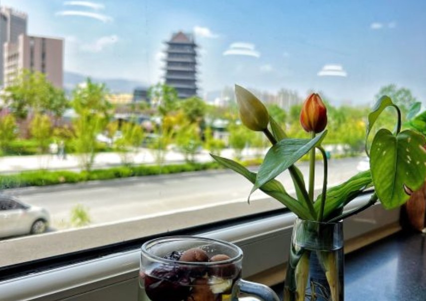 马大胡子羊羔肉(总店)餐厅图片