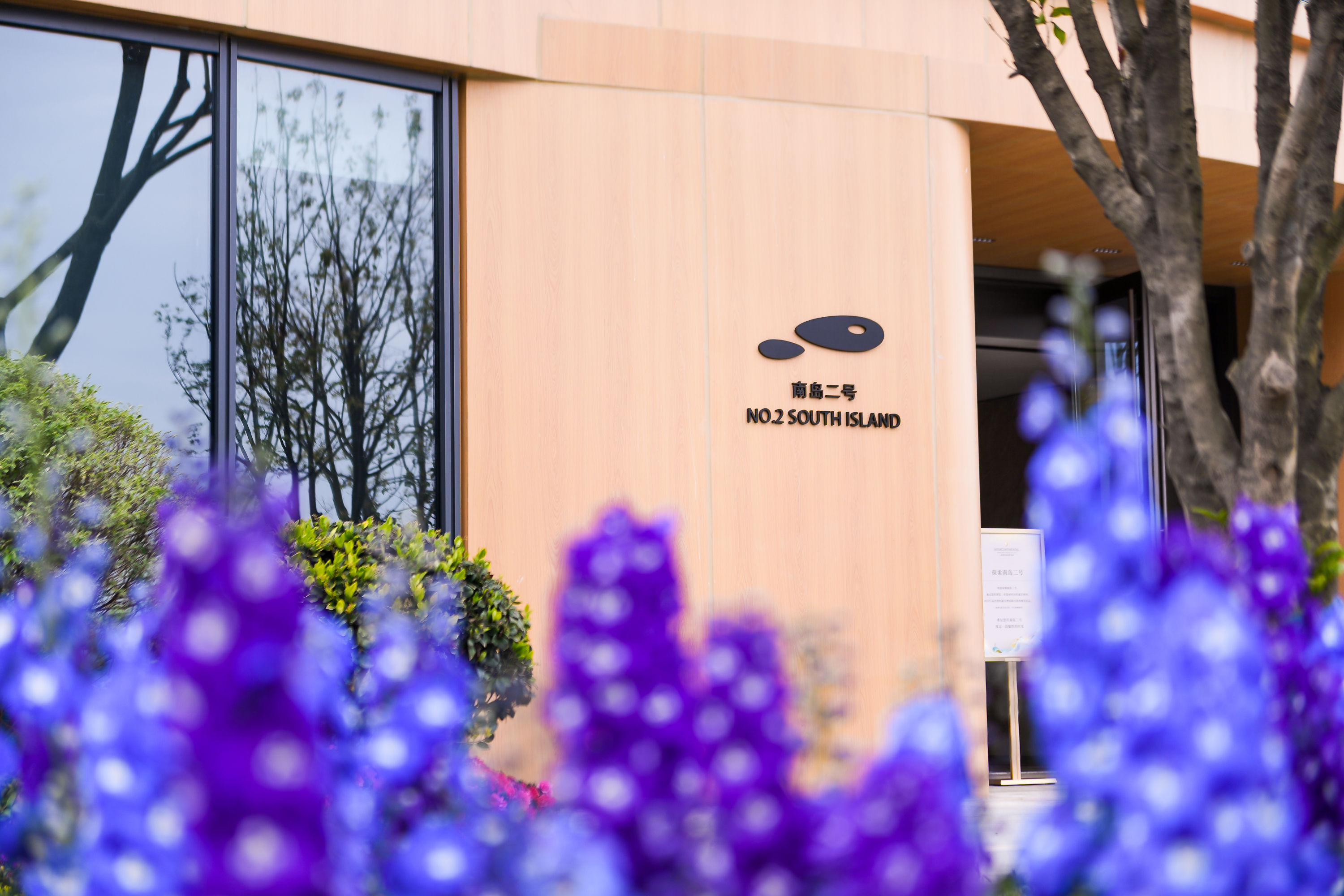 上海滴水湖洲际酒店·南岛二号