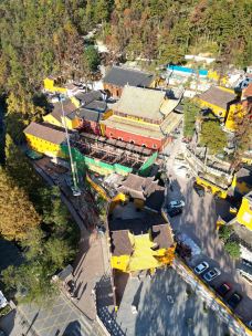 祇园禅寺-青阳-阿诚的白日梦