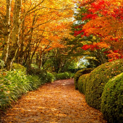 澳大利亚悉尼5日4晚拼小团