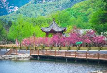 桃花峪景点图片