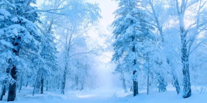 雪鄉霧凇十里冰雪畫廊