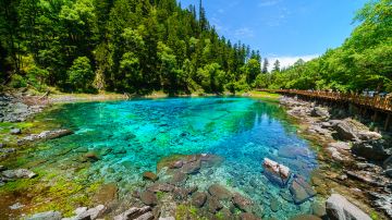 Five Coloured Pool