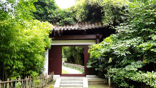 湖州藏着个颇具特色的一福民宿，自家散养生态土鸡！带娃挖笋吃鸡去