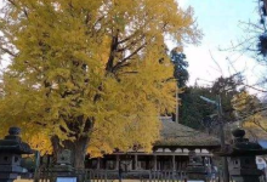 Mt. Ide Yoranshokan景点图片