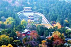 香山公园-北京-果汁分你一半✔