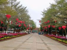 茂名森林公园-茂名-YoYo_5E7W1C2I