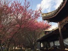 梅里古镇-无锡-芝士香恋