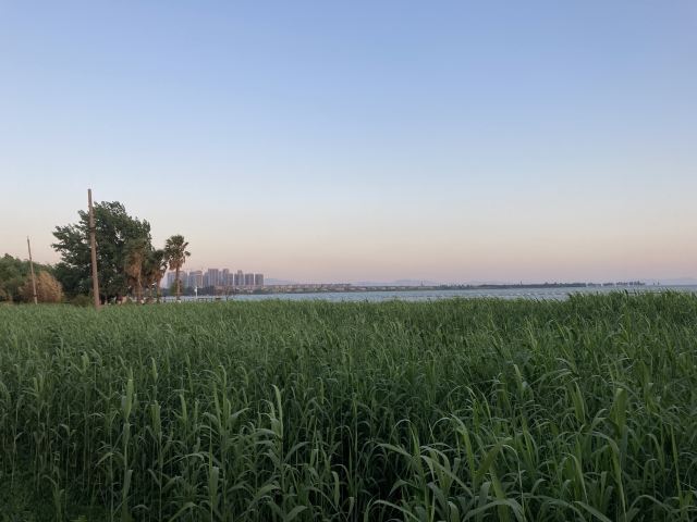 海洪湿地泼水广场旅行图片 6