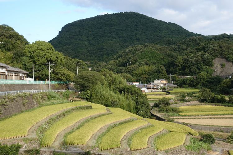 機票 從 韓國-釜山機場(PUS) 到 日本-高松機場(TAK)