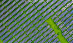 阳春游记图片] 厉害了我的国！阳江航拍时发现大型光伏基地，绿色能源风光无限