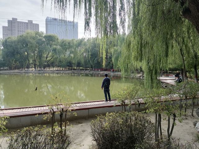 劳动公园旅行图片 2